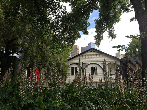 8212804971_0496af41be