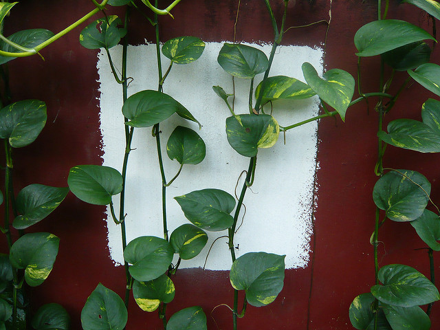 2222316043_844c033f3e_z