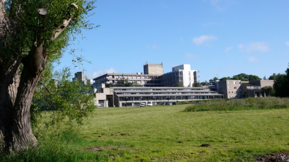 2586062407_3c893e8374_b