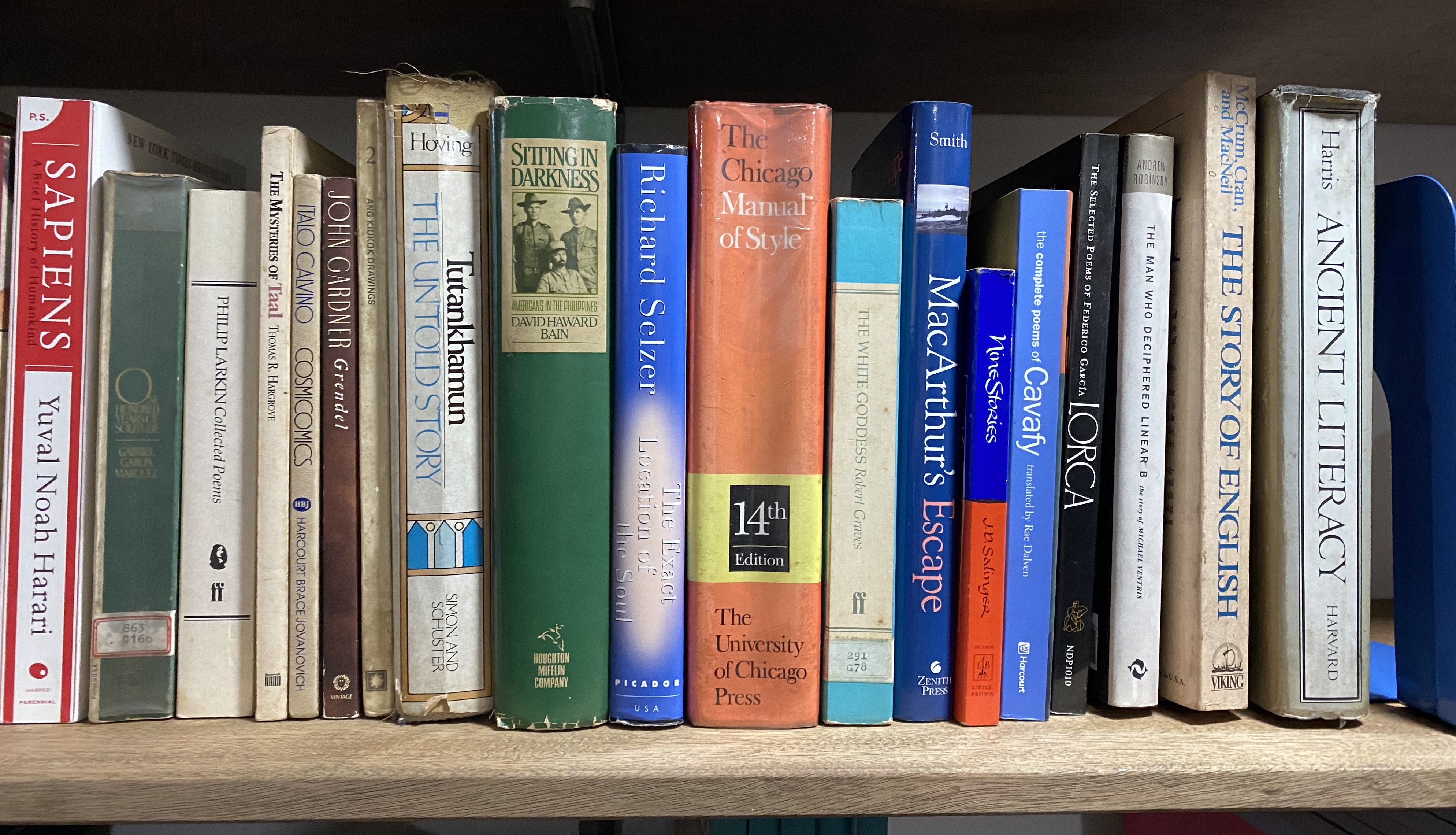 Bookshelf.jpg